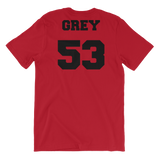 Paisley Grey Jersey